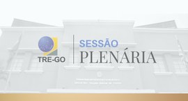 Sessões Plenárias de fevereiro de 2025