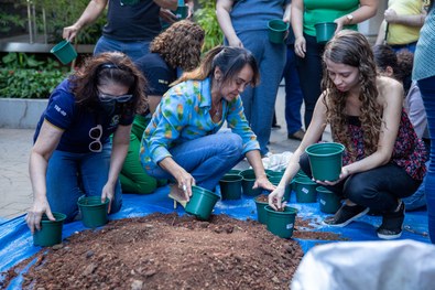 Oficina '"Horta Orgânica Doméstica"